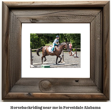 horseback riding near me in Forestdale, Alabama